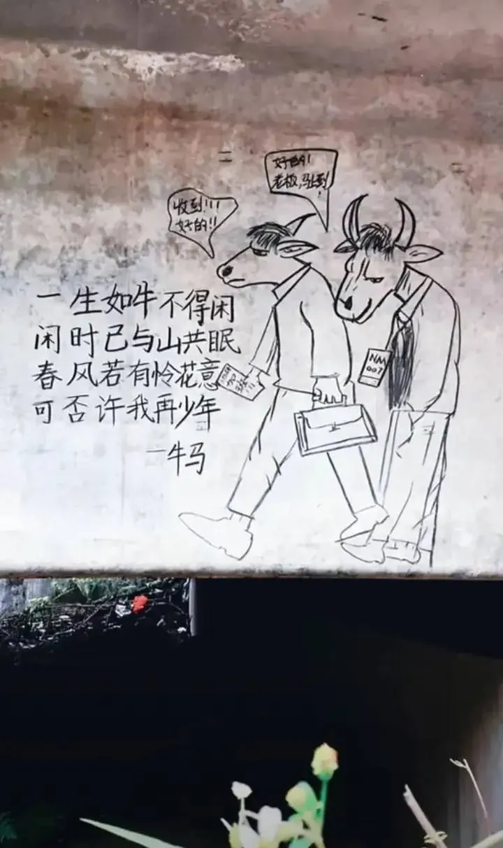 亚博系此番一系列大动作的最终目的——杀撸彩金的刷子,杀打负的代理,杀员工!