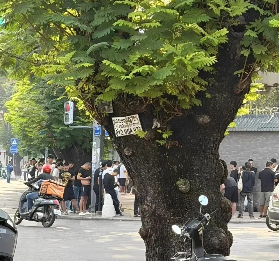 柬埔寨电诈死灰复燃?